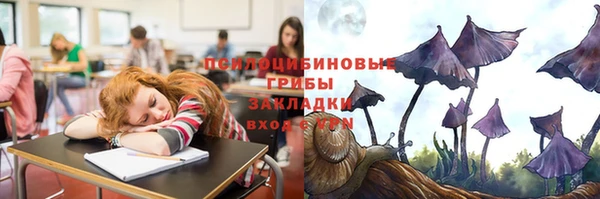 герыч Алзамай
