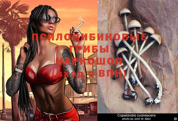герыч Алзамай